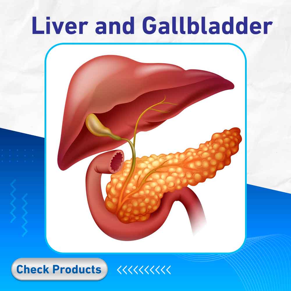 Liver and Gallbladder - Life Care Pharmacy