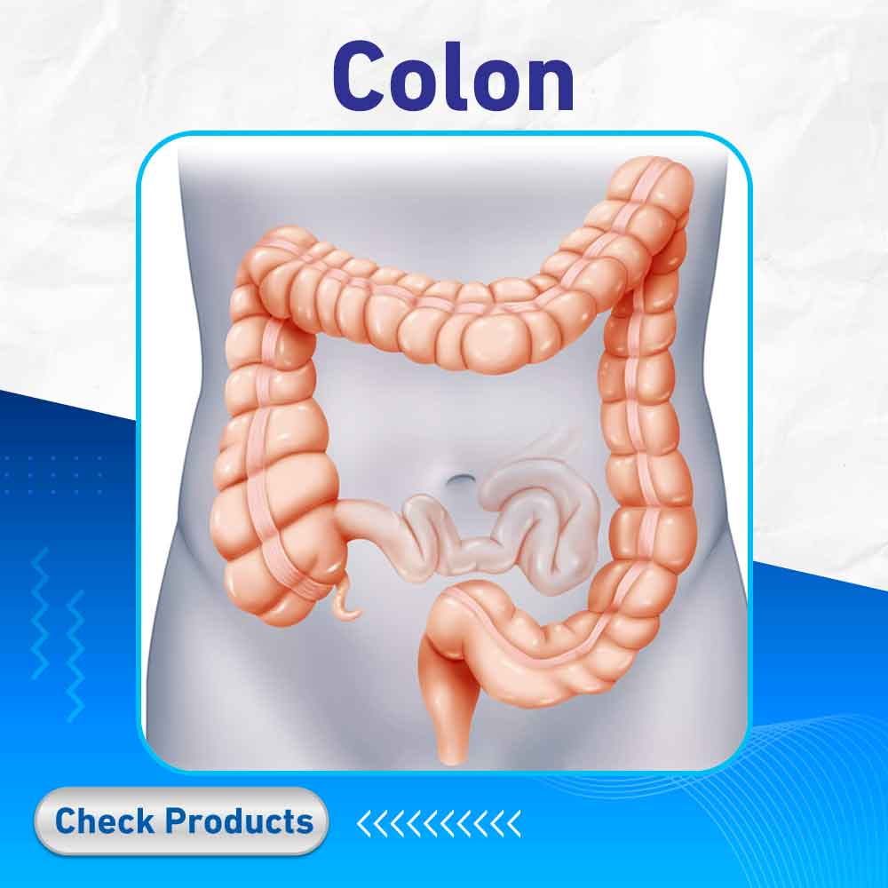 colon - Life Care Pharmacy