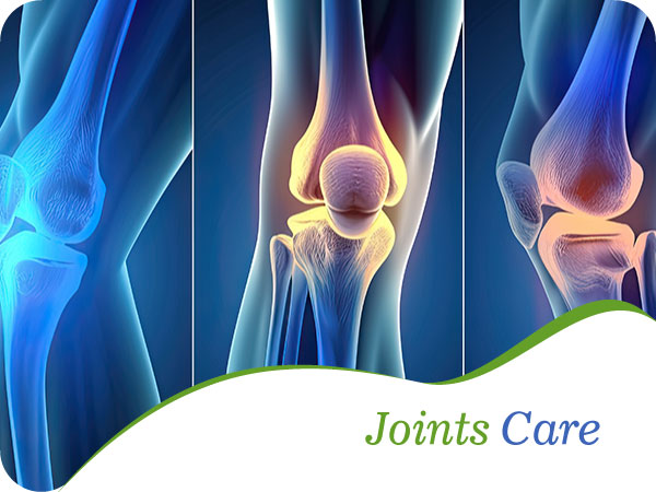 Joints Care - Life Care Pharmacy