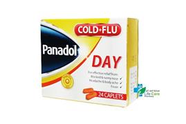 PANADOL DAY COLD AND FLU 24 CAPLETS